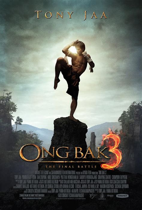 When Ong Bak came out in 2003, it was the action movie martial arts fans all over the world wanted, with a leading man who combined the look of a fierce fighter whilst still being the nice and harmless country boy. This is the movie that launched Tony Jaa into stardom as a Martial Arts Actor. When Ong Bak came out in 2003, it was the action ...